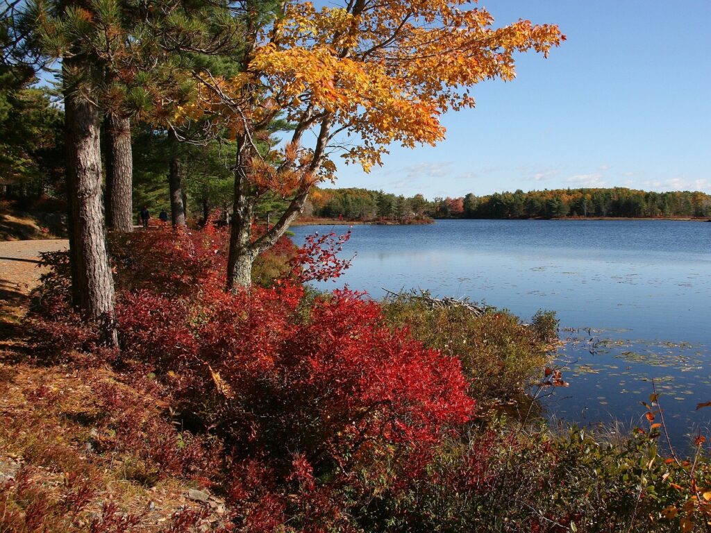 Acadia national park, Maine, Landscape image