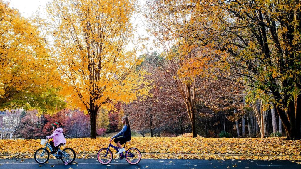 Two sisters riding their bike in a park in autumn
