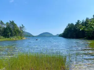 A calm lake with clear blue water, surrounded by green trees and tall grasses, with distant forested hills and a blue sky overhead.