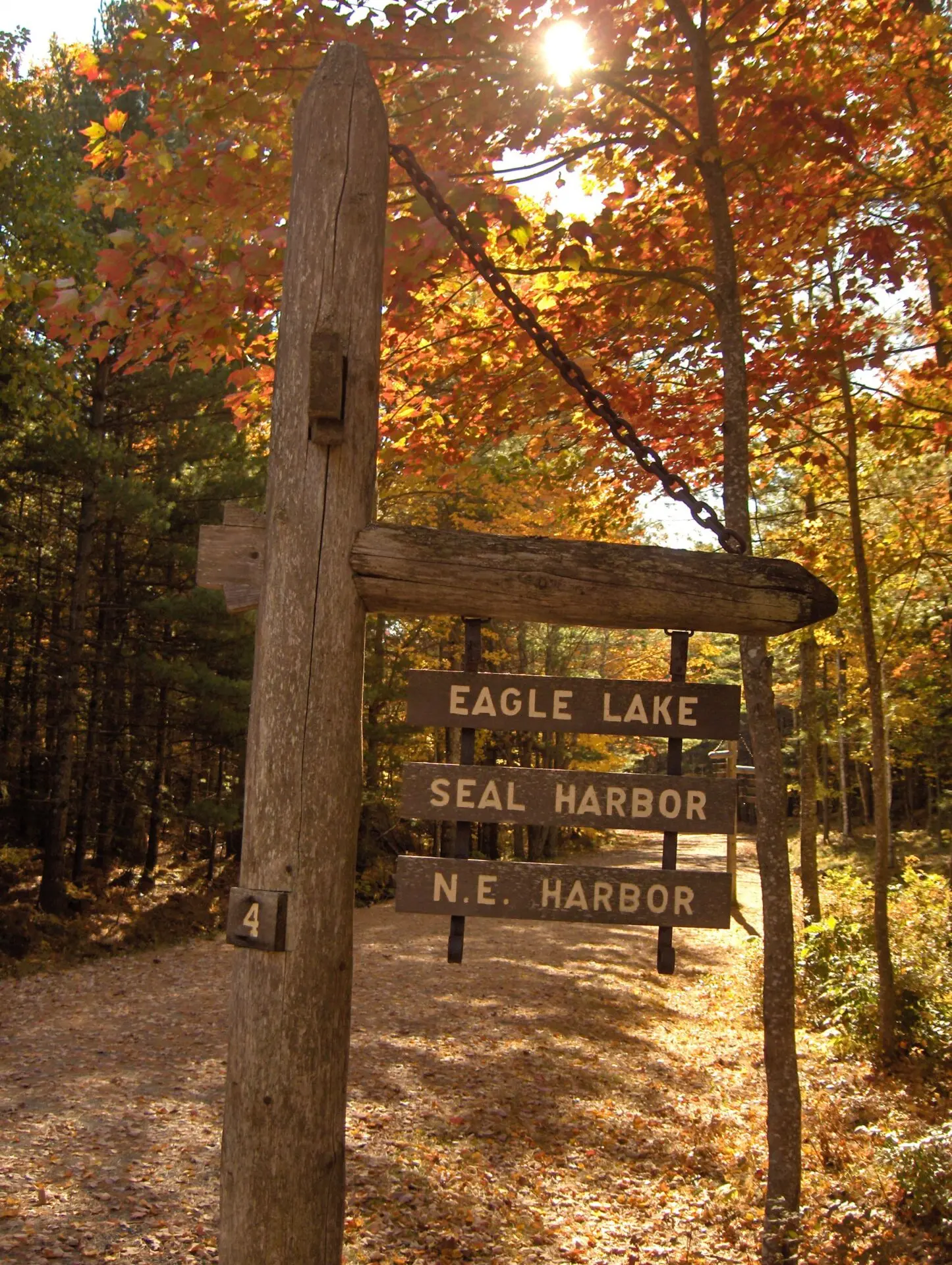 A rustic wooden signpost in a sunlit autumn forest points toward Eagle Lake, Seal Harbor, and N.E. Harbor, with colorful leaves and a dirt path visible in the background.