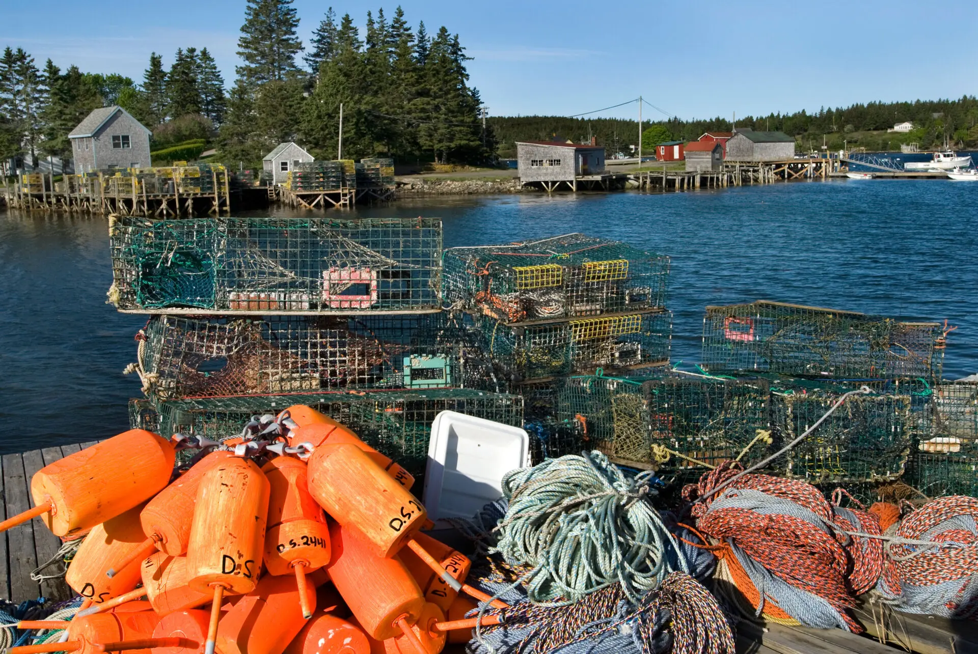 Lobster traps, orange buoys, and ropes piled on a dock with wooden buildings, trees, and boats along the shore in the background on a sunny day.